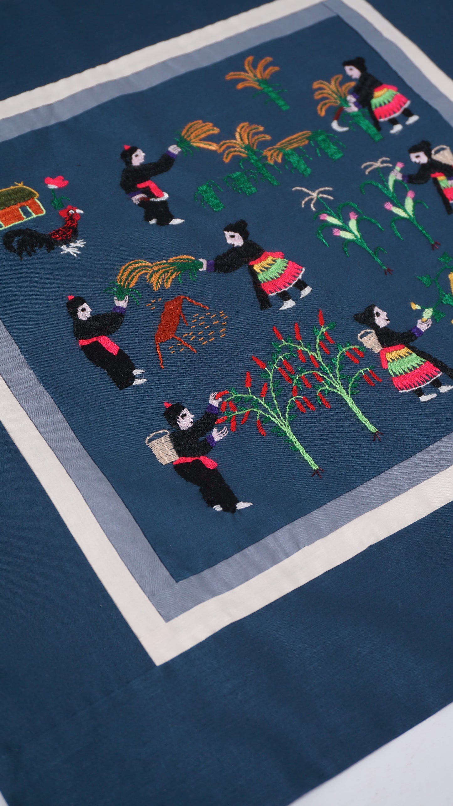 Harvesting Hmong Story Cloth